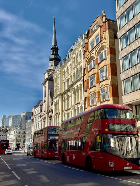 A city street scene featuring two red double-decker buses parked along the curb during the day, with one bus close to the camera displaying the route number 76 on its front. Behind the buses are historic and modern multi-storey buildings, including a white ornate building with decorative arches and a tall, pointed church spire rising above the rooftops. The street is lined with pavement and appears to be a busy area in central London, with a clear blue sky overhead. The image is related to house removals and moving services, echoing the context of transportation and logistics involved in furniture transport and home relocations, as seen in the professional removal service company Bowman and Van's guide for Bow Road homes.