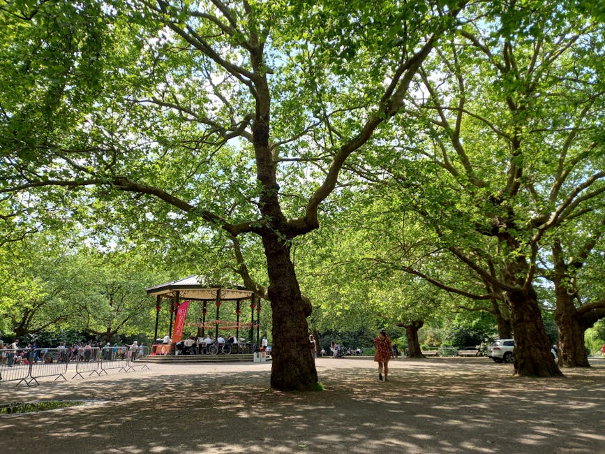A park scene featuring large, mature trees with thick trunks and sprawling branches covered in lush green leaves, providing shade over a wide open space. In the background, there is a small bandstand with a rounded roof, around which a seated audience is gathered, possibly enjoying a live performance. A woman wearing a dress walks across the shaded area on the paved ground. To the right, a white vehicle is parked near the edge of the park. The overall environment is well-lit with sunlight filtering through the tree canopy, creating dappled shadows on the ground. This setting illustrates the outdoor environment near Victoria Park, relevant to home relocation or moving logistics, with the park serving as a potential staging or parking area for moving services by Bow Man and Van, especially during parking tips for house removals near Victoria Park.